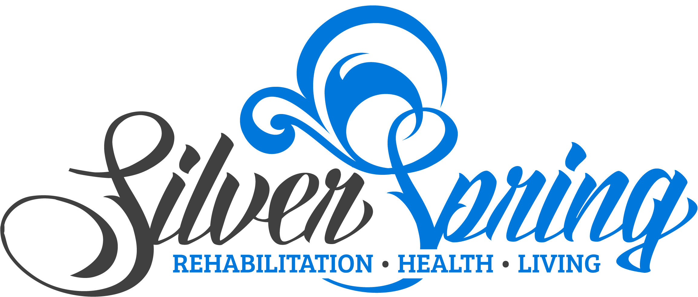 silverspringlogo-color.jpg